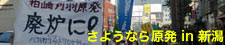さようなら原発in新潟